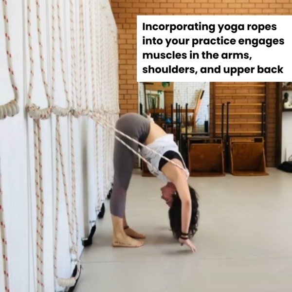 Iyengar yoga ropes online